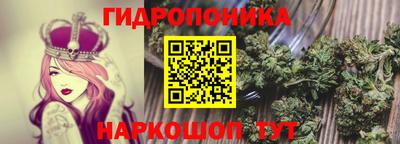 СК Свободный