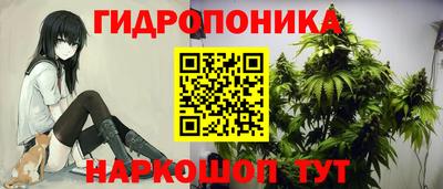 СК Свободный