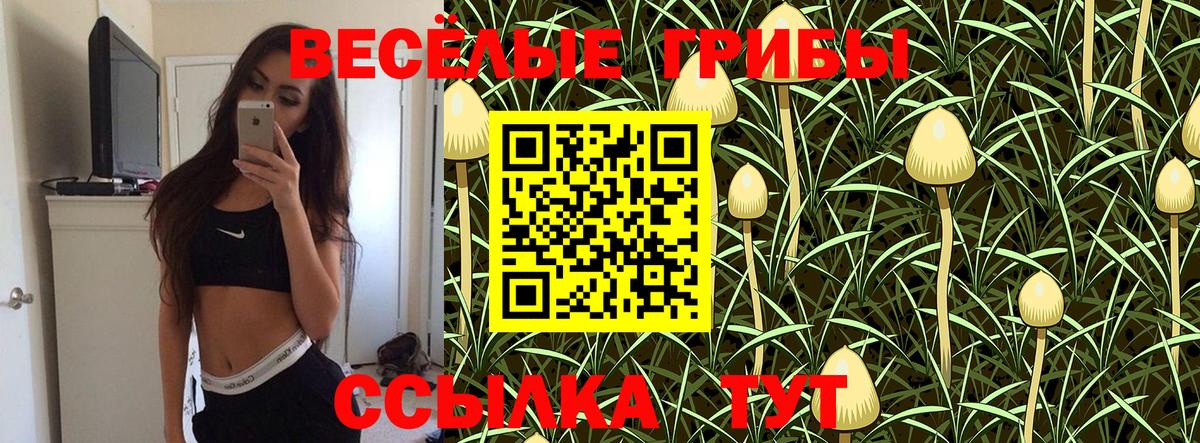 купить закладку  Вход с VPN  Ростов-на-Дону  Псилоцибиновые грибы Psilocybe  Псилоцибиновые грибы мухоморы 